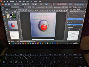 Picture of lap top with last page of photo book in D T P software loaded.